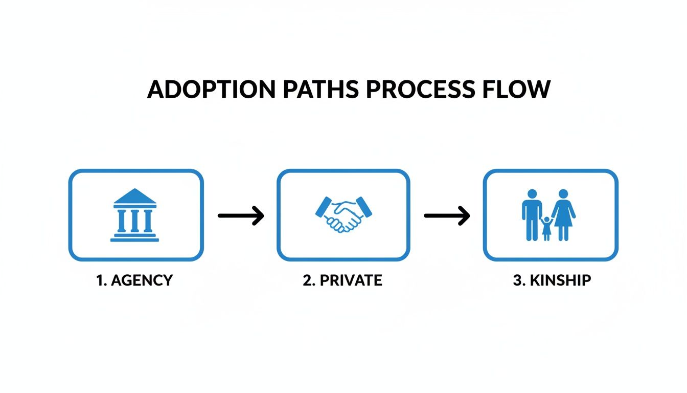 A process flow diagram illustrating three adoption paths: 1. Agency, 2. Private, and 3. Kinship.