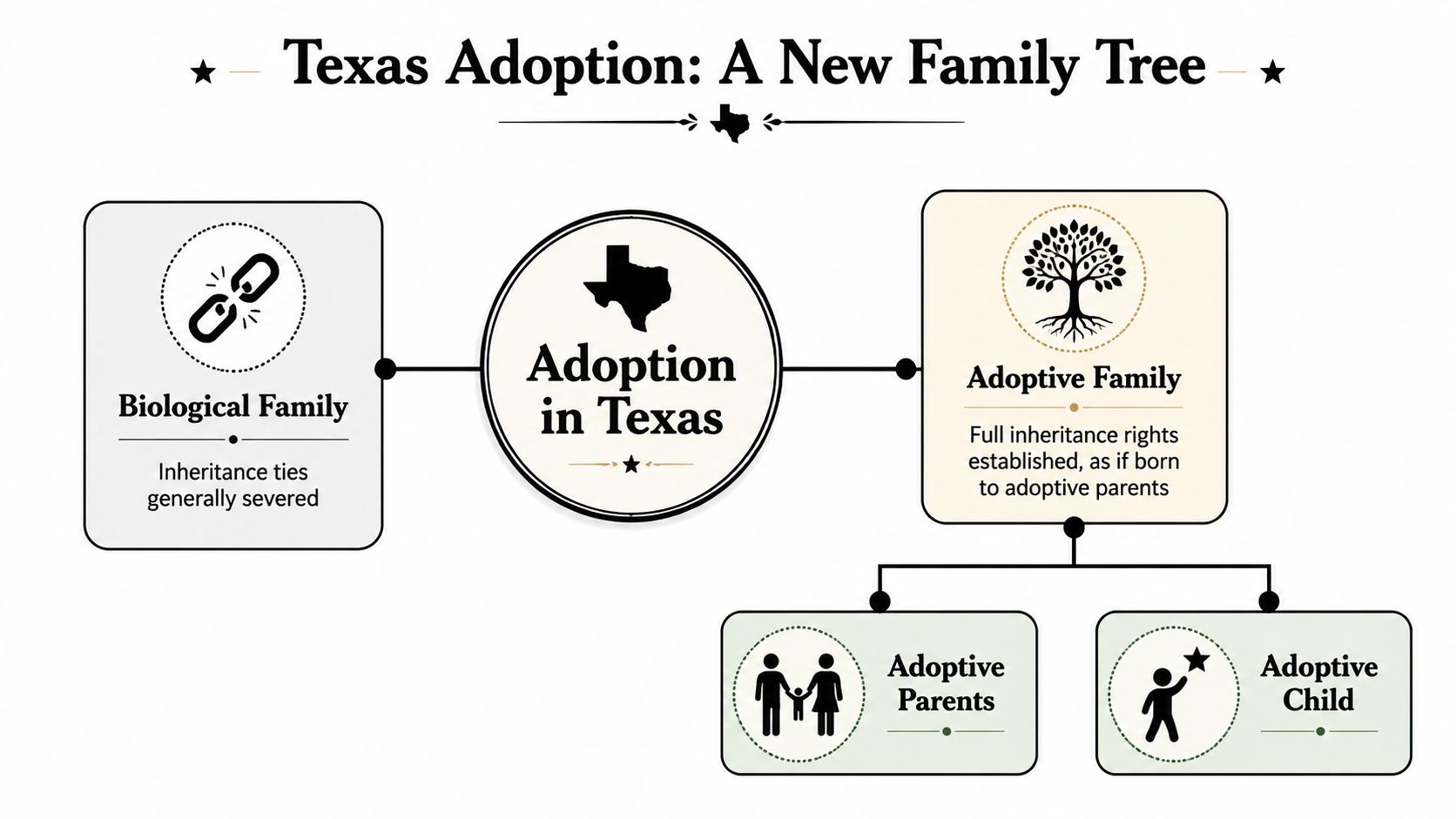 A diagram illustrating how adoption in Texas affects inheritance rights between biological and adoptive families.